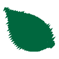 Portable Network Graphics Fairy Portable Network Graphics Fairy