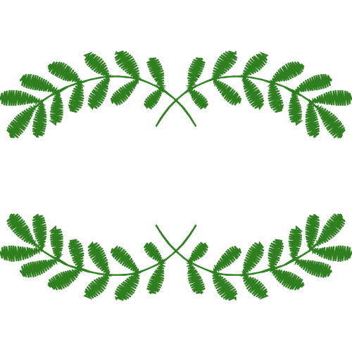 Image Fairy Image Fairy