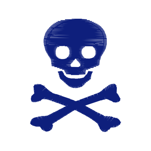 Skull And Crossbones Fairy Skull And Crossbones Fairy