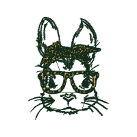 T Shirt Fairy T Shirt Fairy