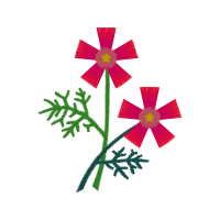 Typography Fairy Typography Fairy