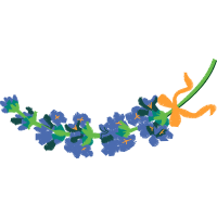 Vector Graphics Fairy