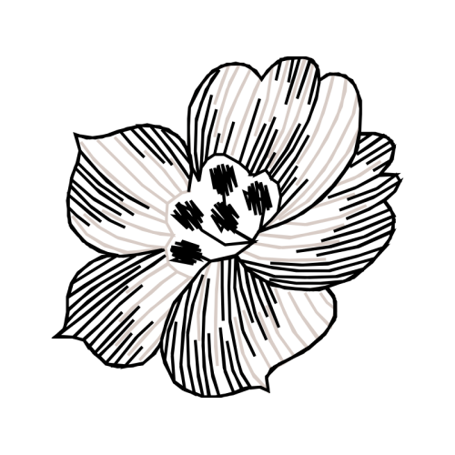 Water Fairy Water Fairy