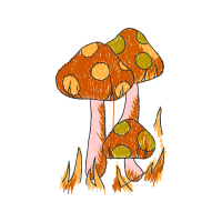 Yarn Fairy Yarn Fairy