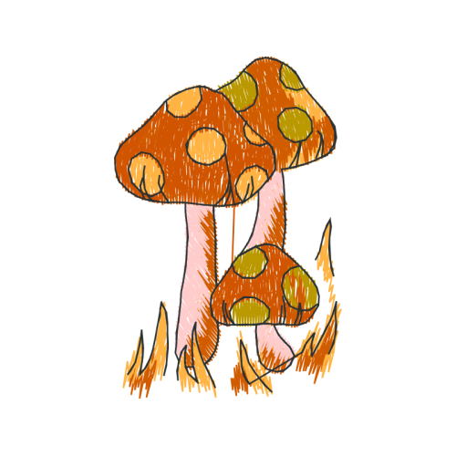 Yarn Fairy Yarn Fairy