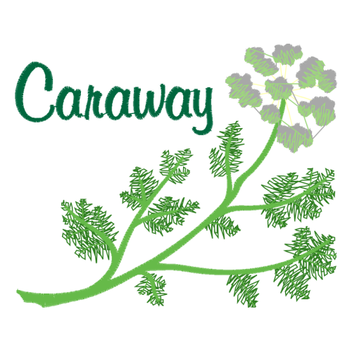 Elo7 Flowers Elo7 Flowers