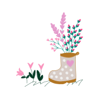 English Lavender Flowers