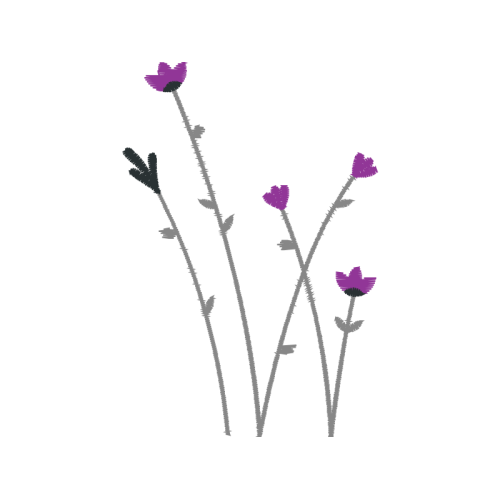 English Lavender Flowers English Lavender Flowers