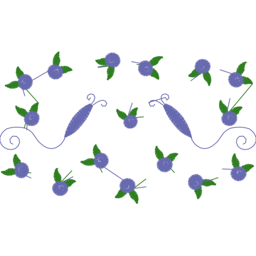 English Lavender Flowers English Lavender Flowers