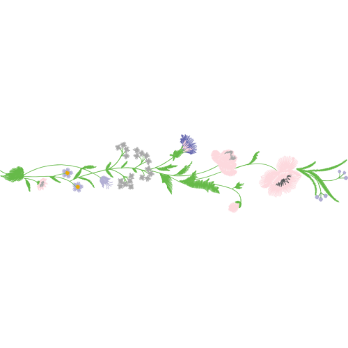 English Lavender Flowers English Lavender Flowers