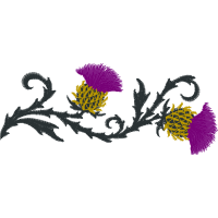 English Lavender Flowers