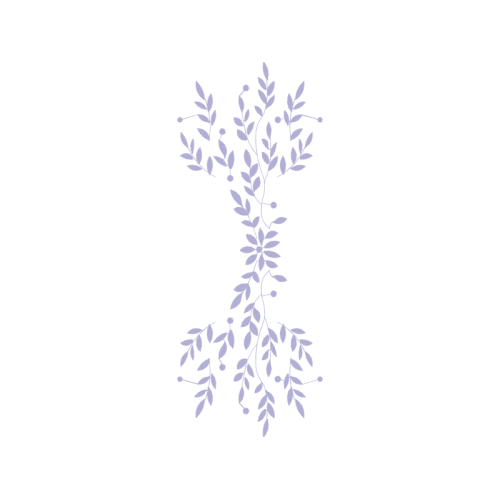 English Lavender Flowers English Lavender Flowers