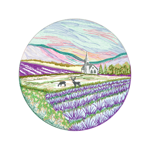 English Lavender Flowers English Lavender Flowers