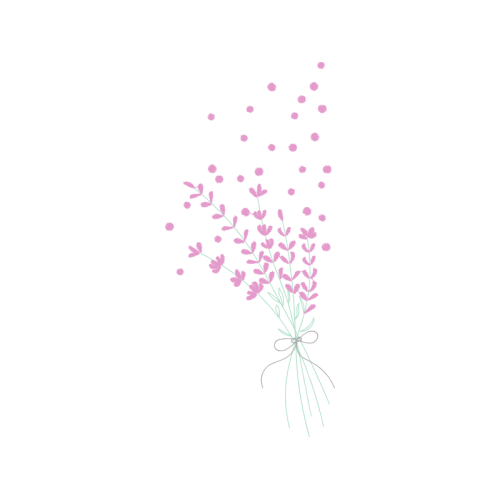 English Lavender Flowers English Lavender Flowers