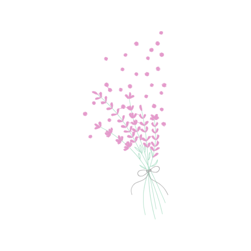 English Lavender Flowers English Lavender Flowers