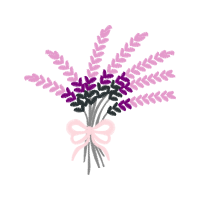 English Lavender Flowers