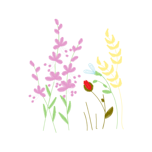 English Lavender Flowers English Lavender Flowers