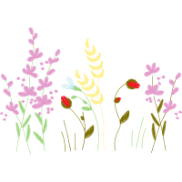 English Lavender Flowers