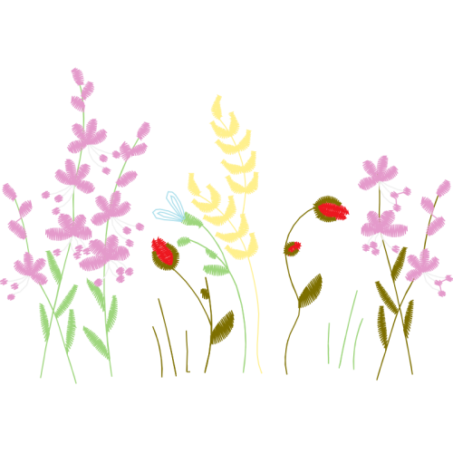 English Lavender Flowers English Lavender Flowers