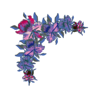 Fernleaf Lavender Flowers