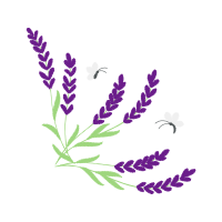 French Lavender Flowers French Lavender Flowers