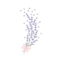 French Lavender Flowers French Lavender Flowers