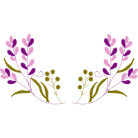 French Lavender Flowers French Lavender Flowers