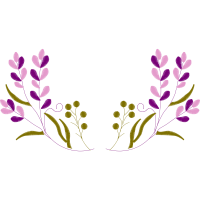 French Lavender Flowers French Lavender Flowers