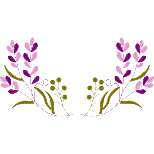 French Lavender Flowers French Lavender Flowers