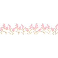 French Lavender Flowers French Lavender Flowers