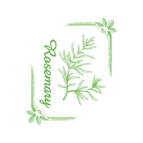 Fumitories Flowers Fumitories Flowers