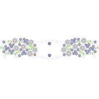 Grape Hyacinth Flowers
