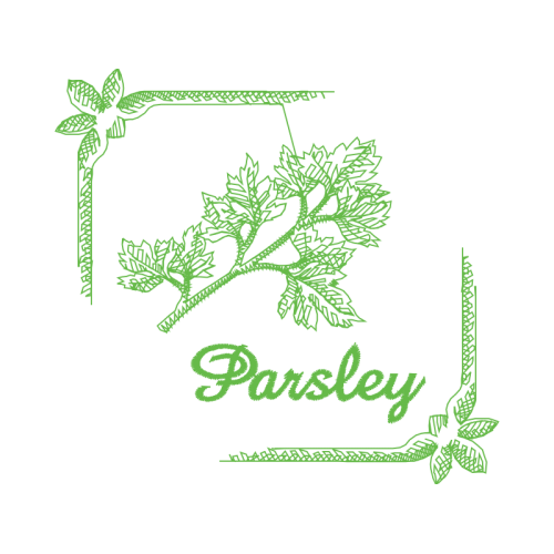 Herb Flowers Herb Flowers