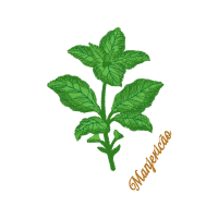 Herbal Medicine Flowers