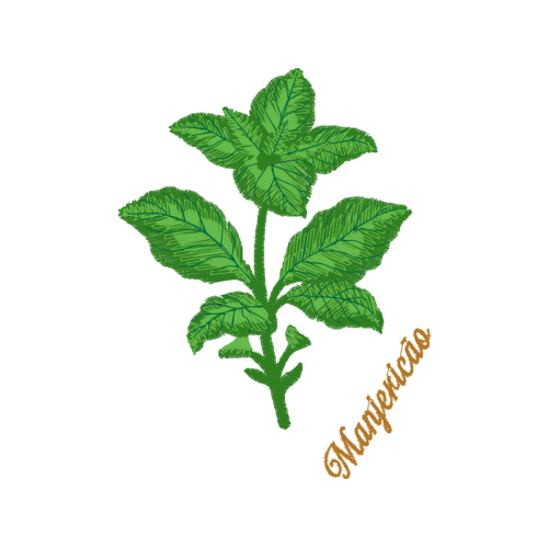 Herbal Medicine Flowers Herbal Medicine Flowers