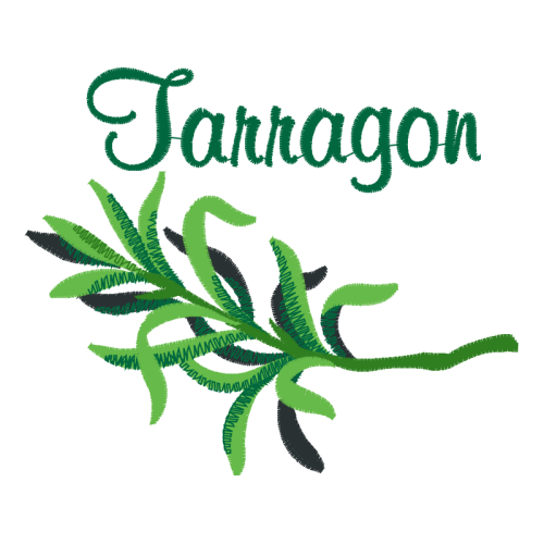 Illustration Flowers Illustration Flowers