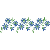 Lavender Flowers Lavender Flowers