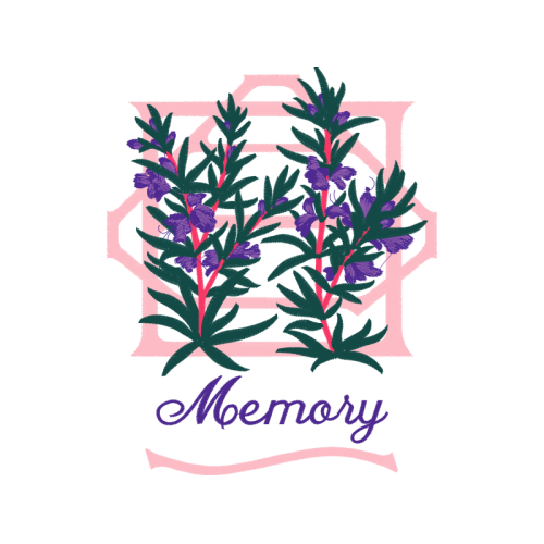 Lavender Flowers Lavender Flowers