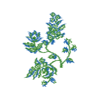 Lavender Flowers Lavender Flowers