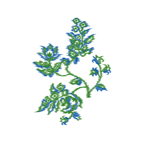 Lavender Flowers Lavender Flowers