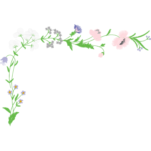 Lavender Flowers Lavender Flowers