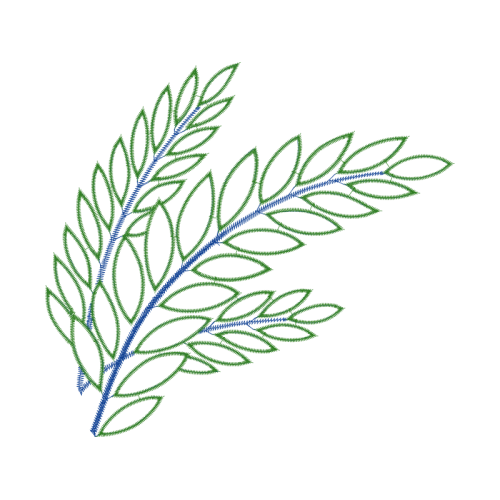 Lavender Flowers Lavender Flowers