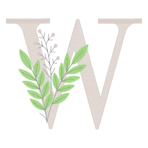 Lavender Flowers Lavender Flowers