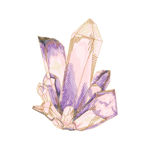 Lilies Flowers Lilies Flowers