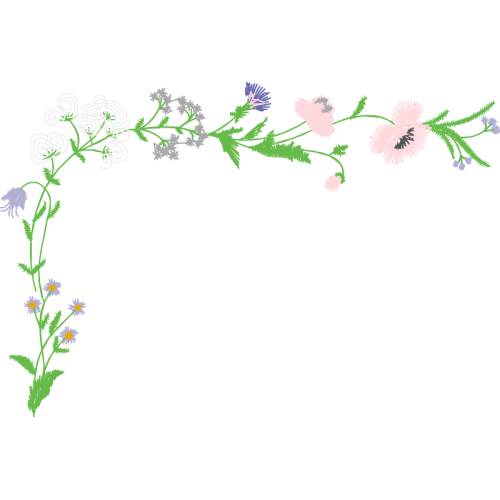 Lobelias Flowers Lobelias Flowers