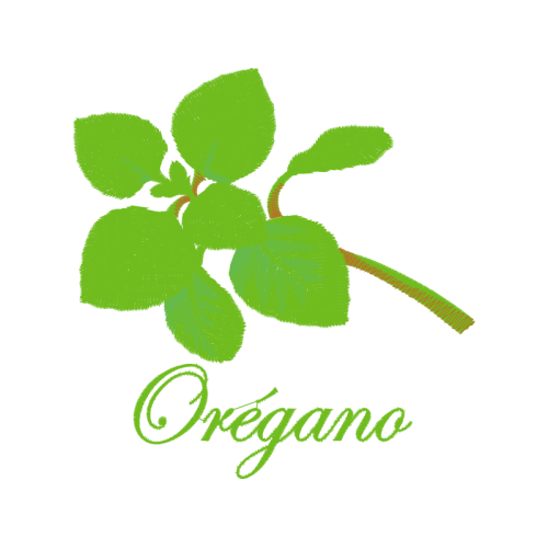 Orquid Rio Parecis Primavera Flowers Orquid Rio Parecis Primavera Flowers