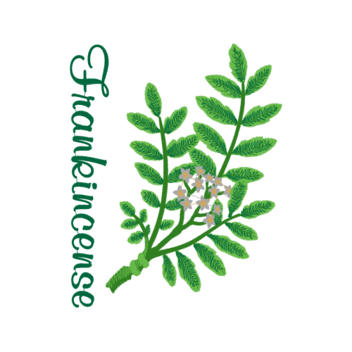 Twig M Flowers Twig M Flowers