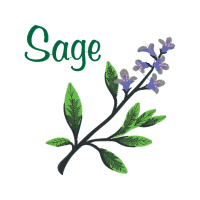 Vervain Flowers Vervain Flowers