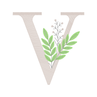 Vervain Flowers Vervain Flowers