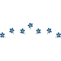 Woolly Lavender Flowers